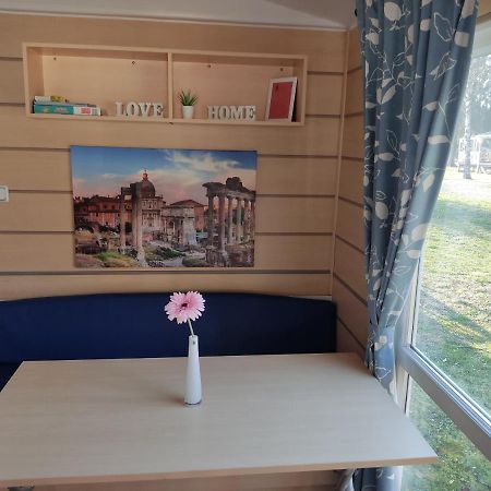 Smart Home Roma Mit Terrasse, Europapark, Rulantica 15Min Boofzheim Exteriör bild