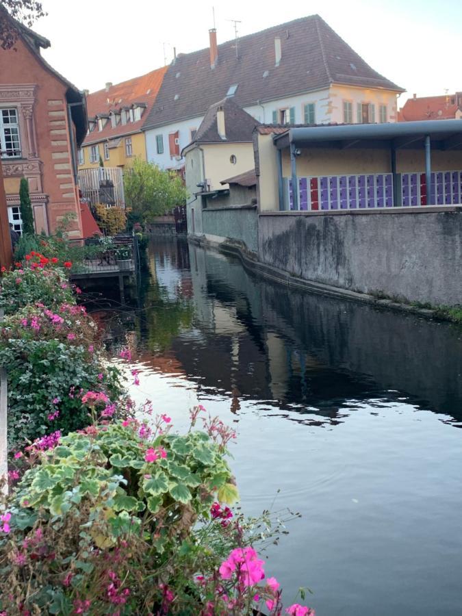 Smart Home Roma Mit Terrasse, Europapark, Rulantica 15Min Boofzheim Exteriör bild